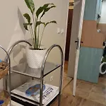 Sea Garden
